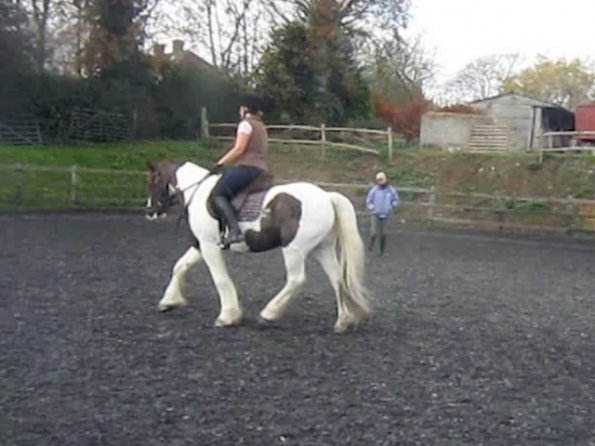 vlcsnap-2012-11-17-19h22m59s137