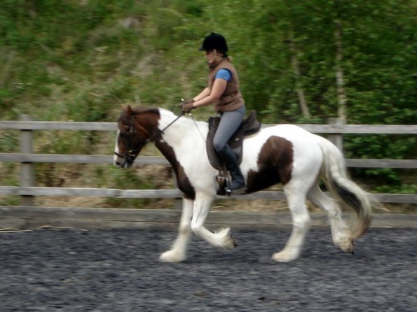 Trot (12)