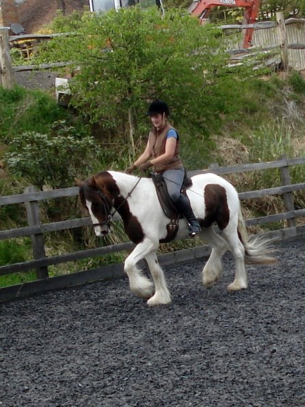Trot (20)