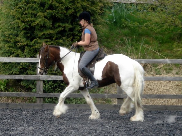 Trot work (10)