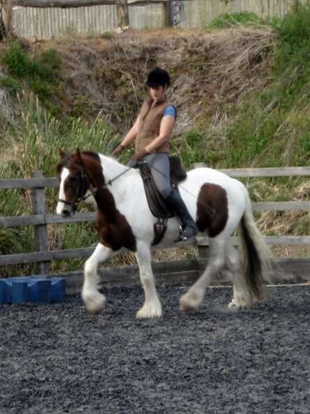 Trot work (6)
