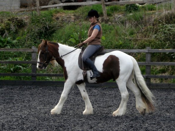 Warm up in walk - blurry (2)