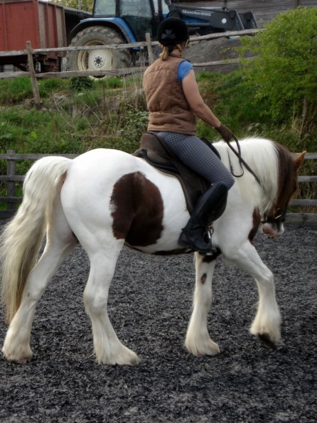 Warm up in walk - blurry (4)