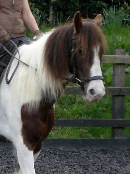 Warm up in walk - blurry (5)