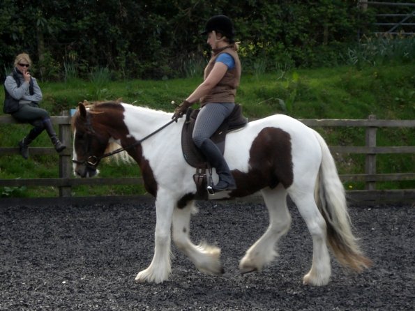 Warm up in walk - blurry (8)