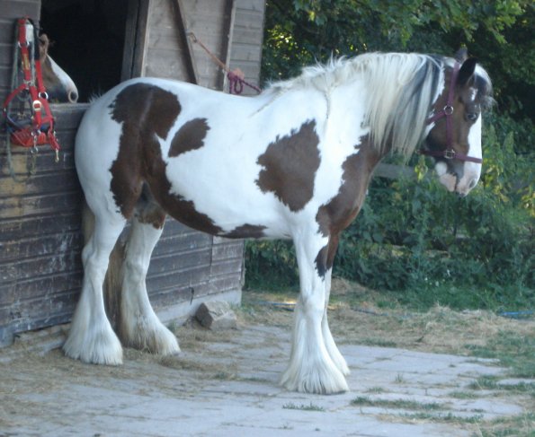 Lance peeking over door.jpg