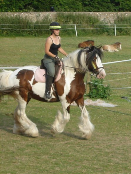 Walk to canter.jpg