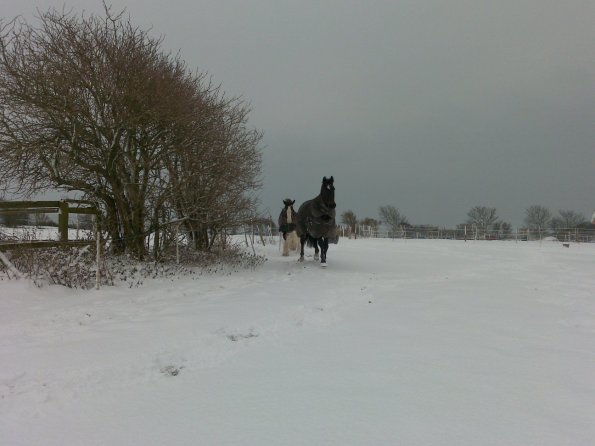 Gaby and Lucy faraway