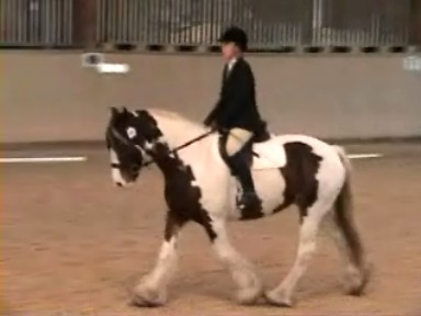 Dressage19October2008 001_0001.jpg