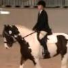 Dressage19October2008 001_0001.jpg