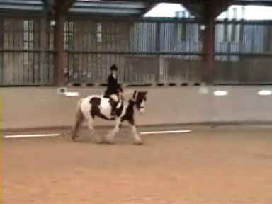 Dressage19October2008 001_0002.jpg