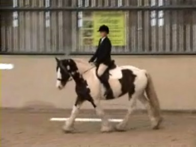 Dressage19October2008 003_0002.jpg