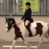 Woodyard Training Dressage