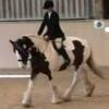 Dressage19October2008 003_0003.jpg
