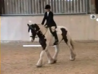 Dressage19October2008 003_0004.jpg