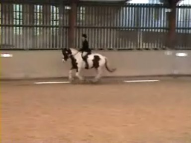 Dressage19October2008 006_0001.jpg