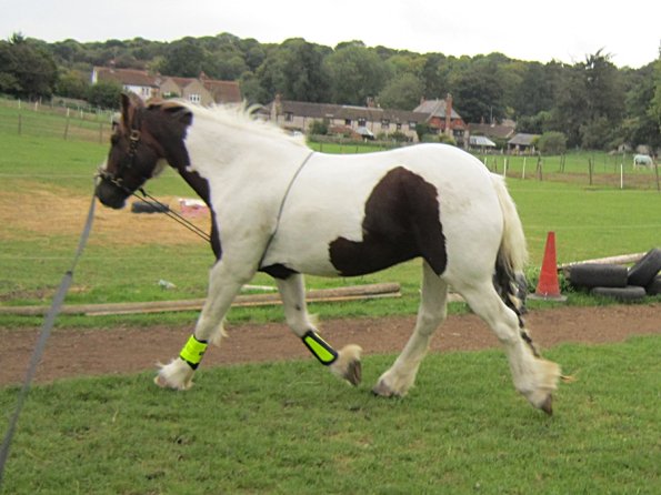 23 September 2010 (10)