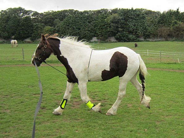 23 September 2010 (12)