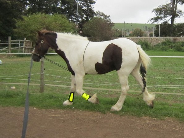 23 September 2010 (13)