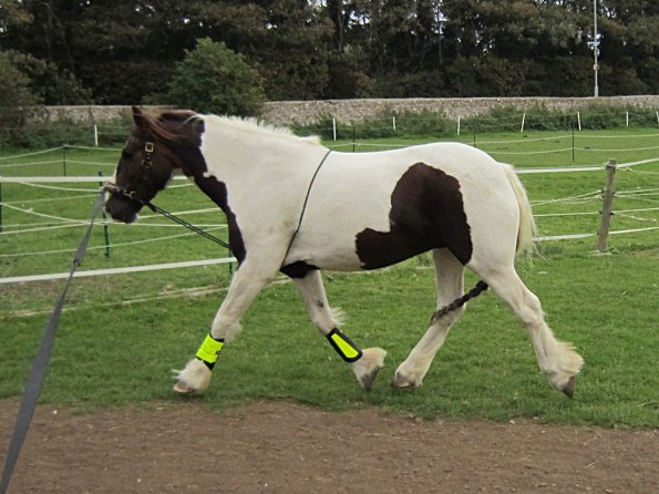 23 September 2010 (15)