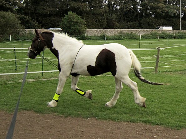 23 September 2010 (19)