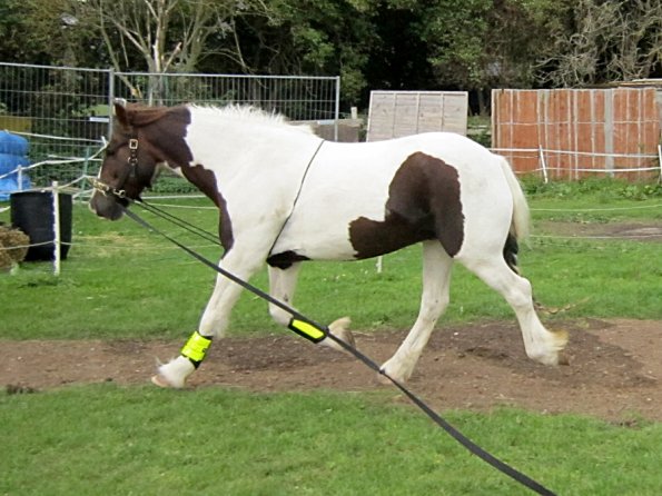 23 September 2010 (22)