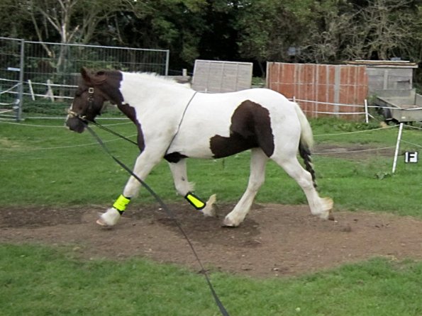 23 September 2010 (24)