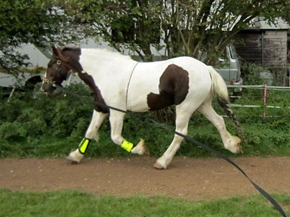 23 September 2010 (25)