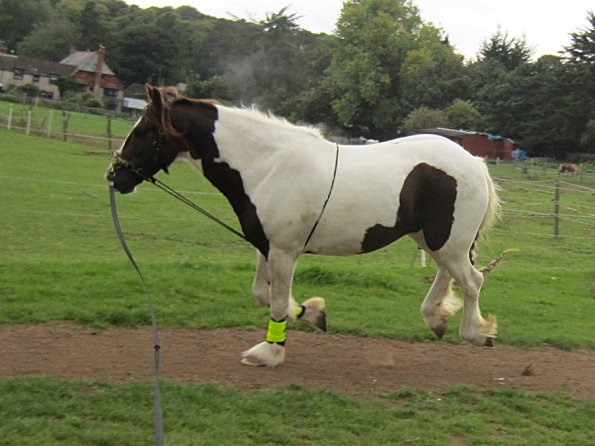 23 September 2010 (26)