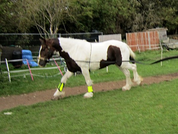 23 September 2010 (27)