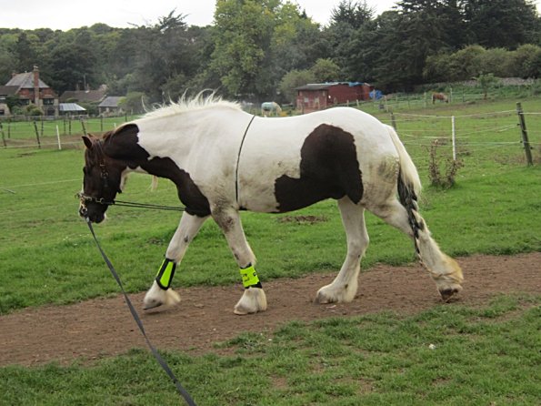 23 September 2010 (30)