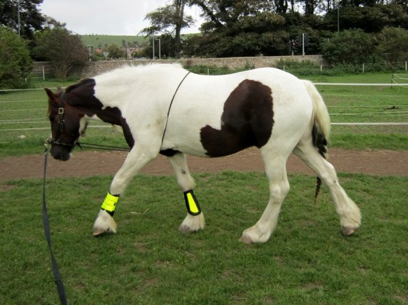 23 September 2010 (5)