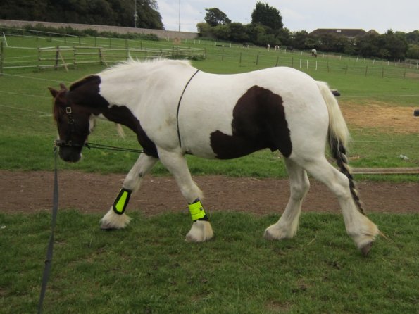 23 September 2010 (9)