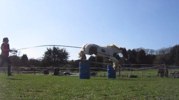 Lancelot lunging (10)