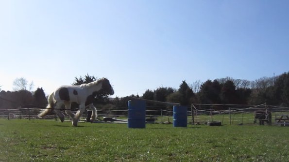 Lancelot lunging (13)