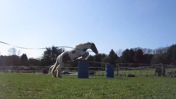 Lancelot lunging (20)