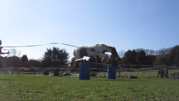 Lancelot lunging (6)