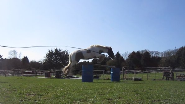 Lancelot lunging (9)