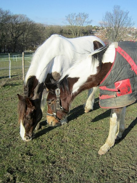 Ghost meets Lance (3)