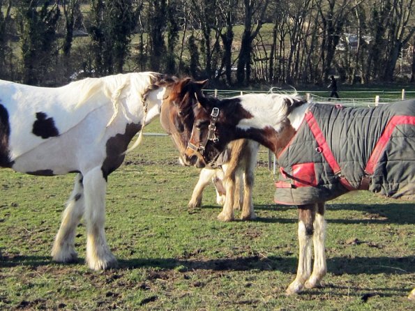 Lance meets Ghost (2)