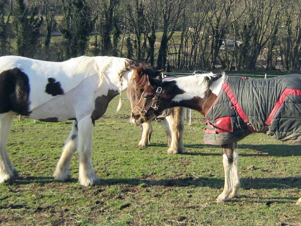 Lance meets Ghost (3)