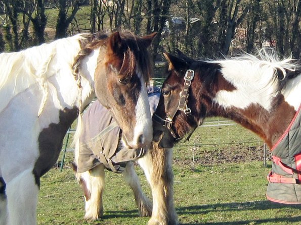 Lance meets Ghost (4)