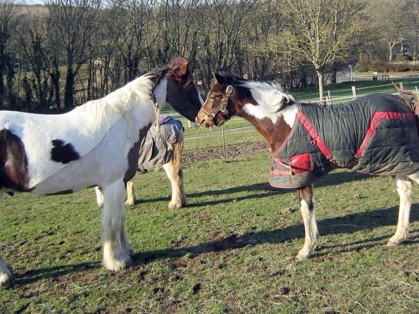 Lance meets Ghost (5)