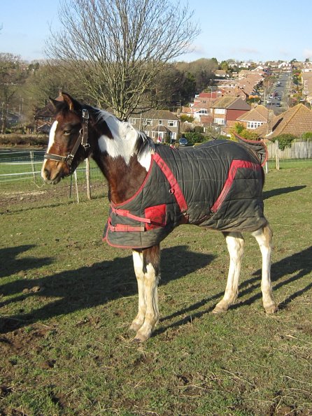 Lance meets Ghost (6)