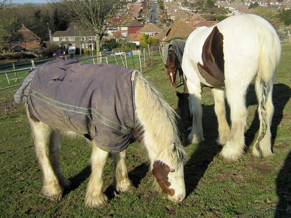 Morgan and Lance (2)