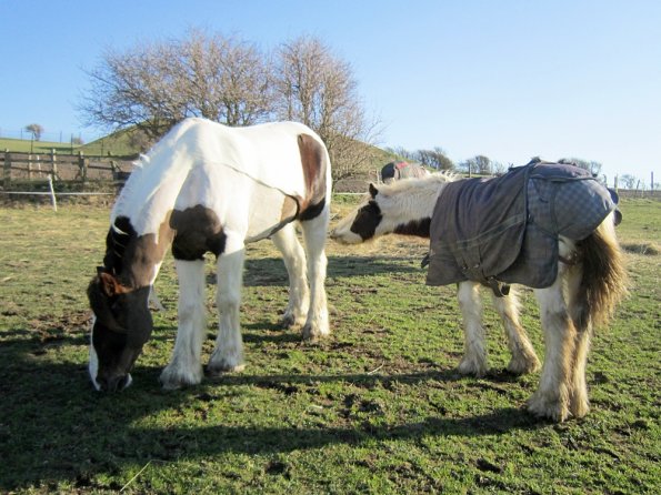 Morgan and Lance (3)