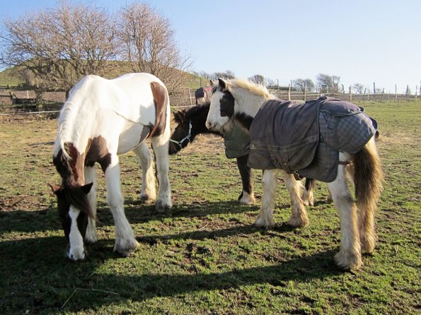 Morgan and Lance (4)