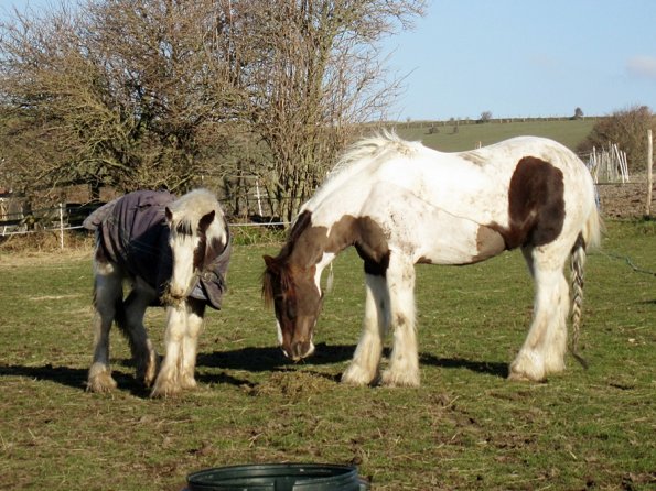 Morgan and Lance (6)