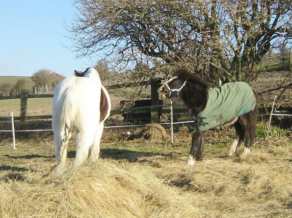 Teddy meets Lance (2)