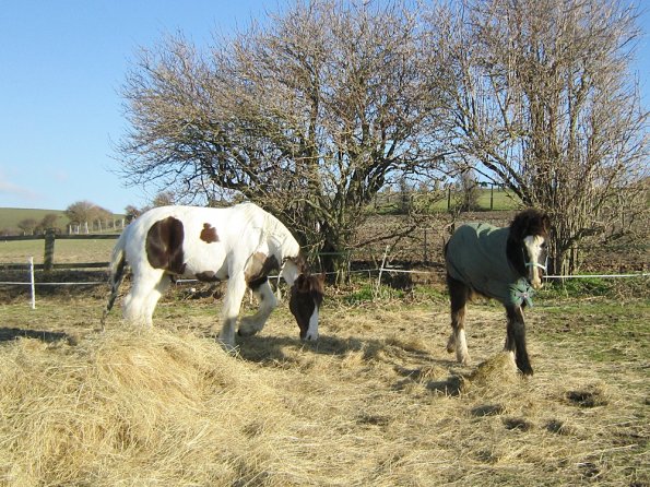 Teddy meets Lance (3)
